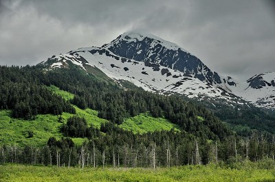 阿拉斯加。山和森林。