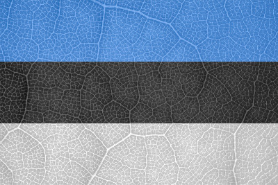 flag of Estonia on the structure of a tree leaf ma