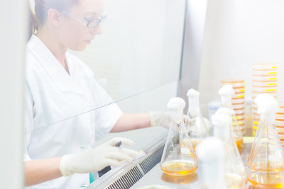 生命科学研究员嫁接细菌。