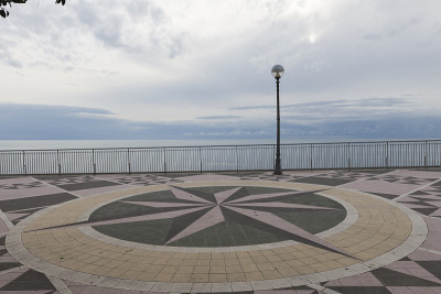 海景与玫瑰的风