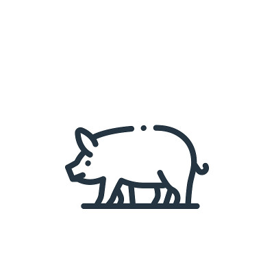 pig vector icon isolated on white background. Outl
