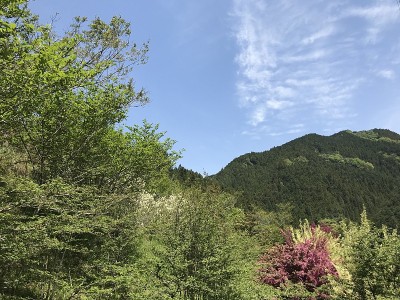 汉诺山