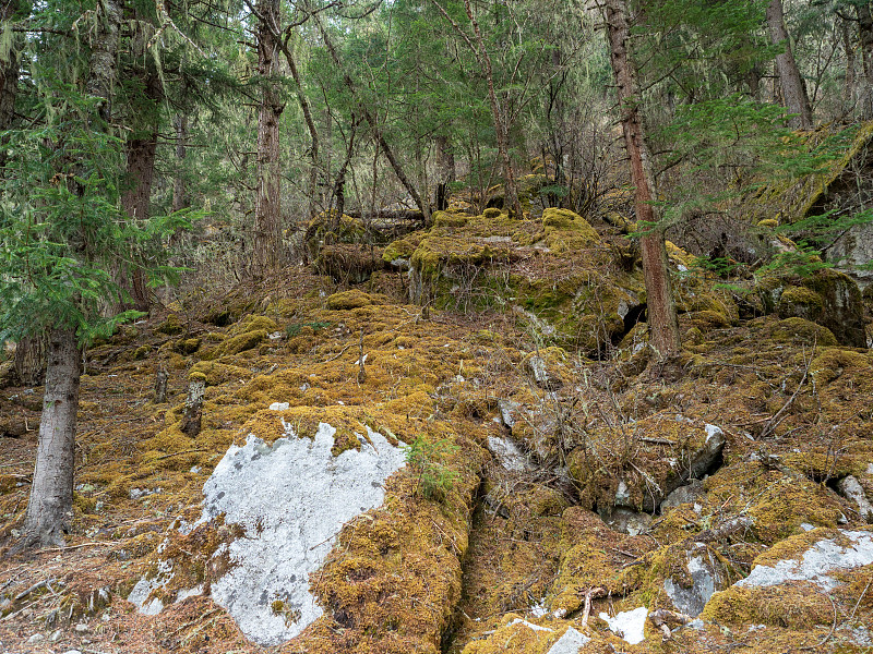 四姑娘山(四姐妹山，东方阿尔卑斯山)的景观，在阿加瓦族羌族自治州，中国四川省。