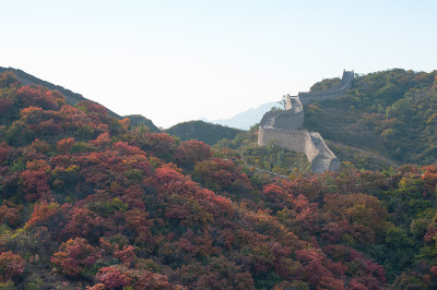 秋天的长城(北京八达岭)
