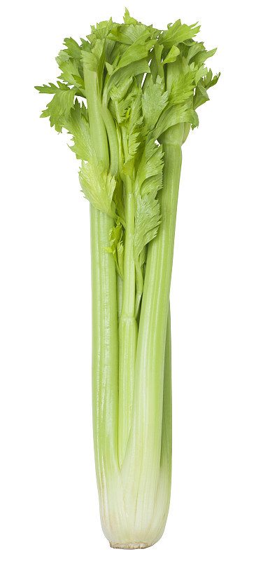 新鲜的芹菜
