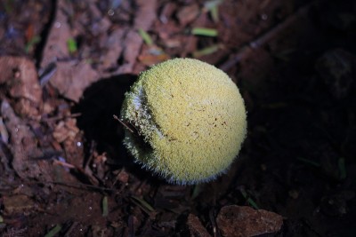照明和阴影
