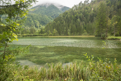 Schiederweiher，美丽的奥地利湖，靠近Hinterstoder