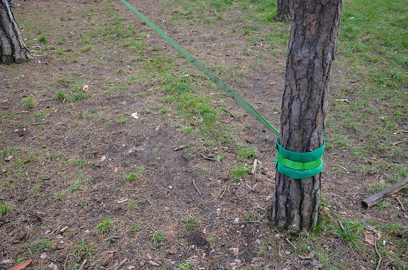 Slackline，或简称slack，是指在两点(如树)之间的带子上保持平衡、行走和跳跃。与在绳索上