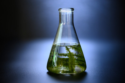 藻类研究实验室，生物技术科学概念