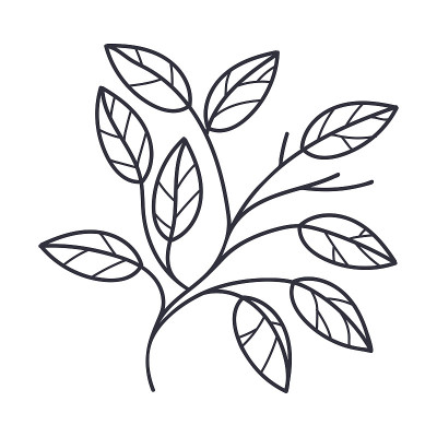 手绘秋叶轮廓或轮廓矢量插图