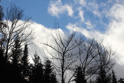 秋天的天空