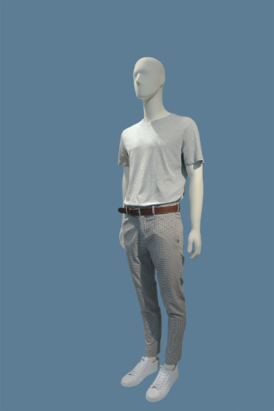 完整的男性人体模型。
