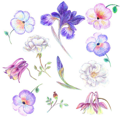 手绘花园花集