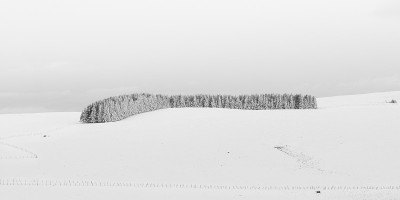 雪下的风景