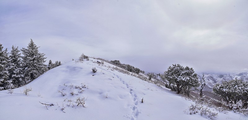 盐湖城的小黑峰徒步旅行小径，在冬季的雪景中，通过博纳威利海岸线小径，沃萨奇前落基山脉，犹他州。美国。