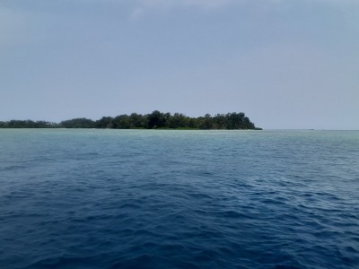 小岛