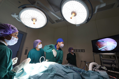 兽医师组在手术室进行腹腔镜手术