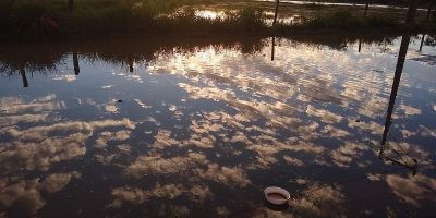 登革热蚊子滋生和危险水域