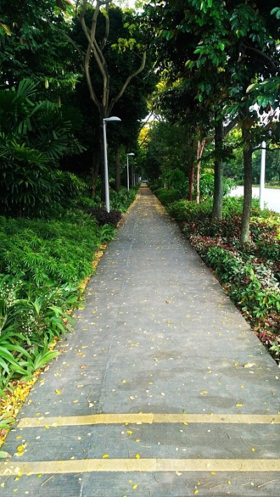 在路上