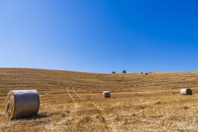 巴西利卡塔Val D'Agri的夏季乡村景观