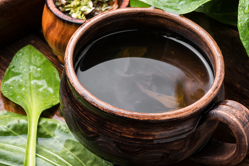 草药车前草茶
