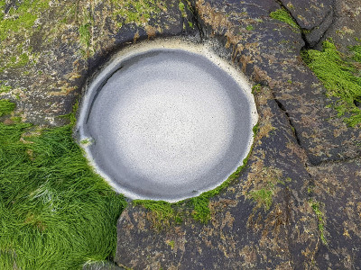一轮Rockpool