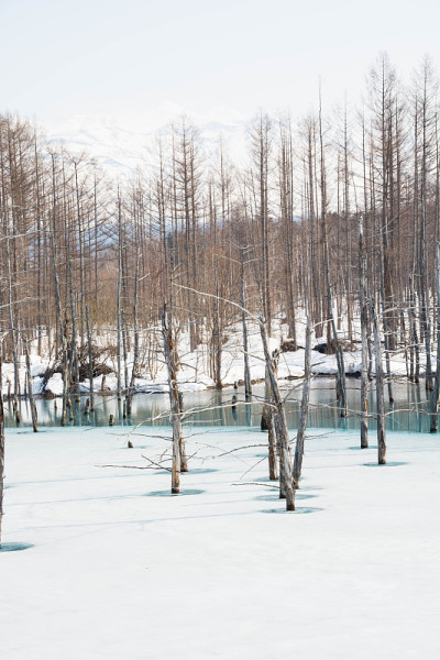 北的春湖，雪开始融化