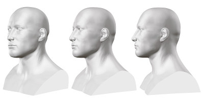 向量组孤立的男性半身像的人体模型在白色的背景。3 d。男性胸部从不同的侧面。矢量图
