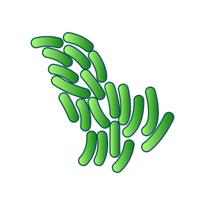 propionibacterium icon, vector