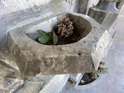 施瓦兹泰洛奥地利城市公园-圣水容器碗的石头在一堵墙上的修道院