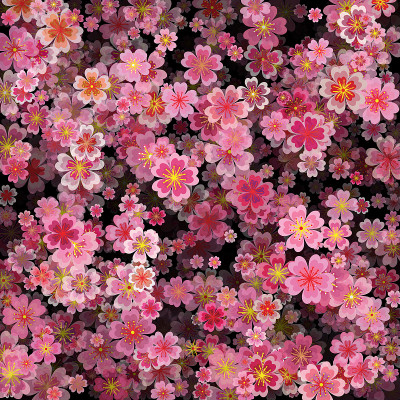 樱花的背景，体积的效果。矢量图