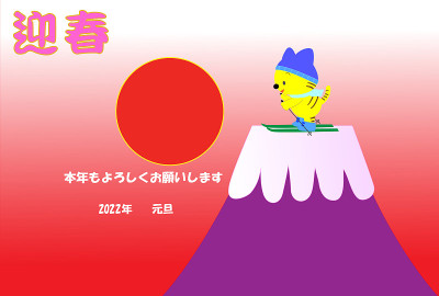 太阳老虎