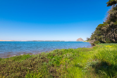 Morro Bay State Park, Morro Bay State Marine Reser