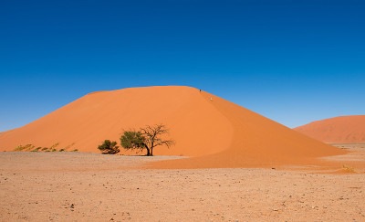 纳米比亚- naukluft国家公园，Sossusvlei，沙丘45