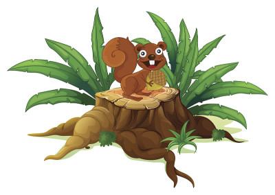 松鼠在树桩上拿着坚果