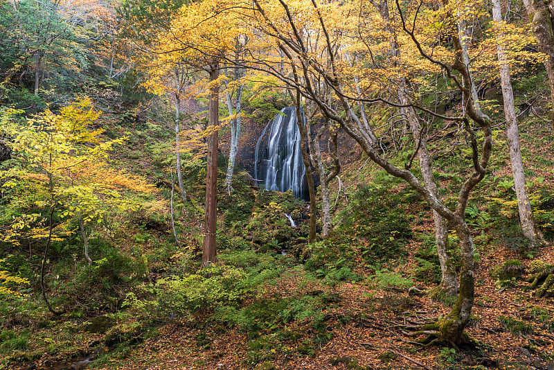 Tatsuzawafudo瀑布福岛