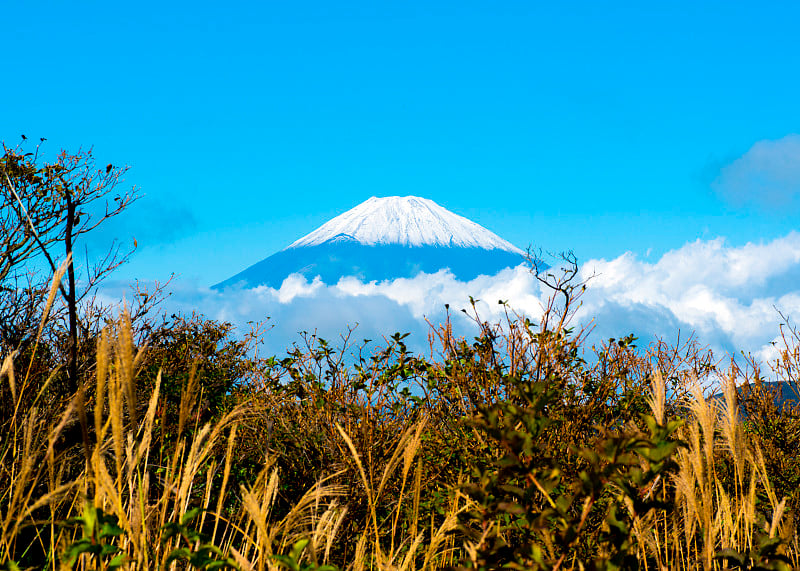 富士山