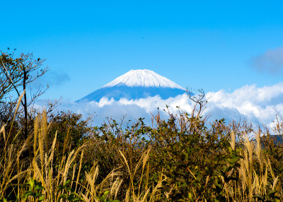 富士山