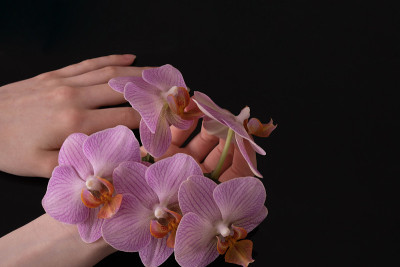 年轻的女性手捧粉红色的兰花花瓣