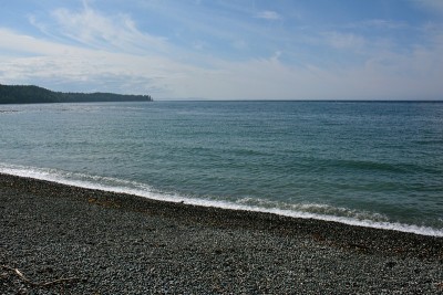 夏洛特女王海峡