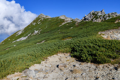 深秋的稻岭山