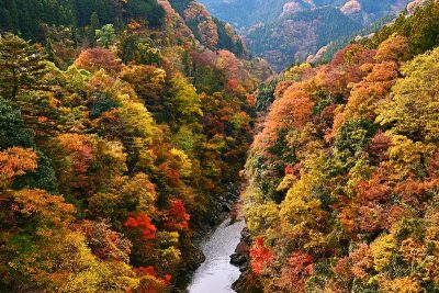 秩父荒川
