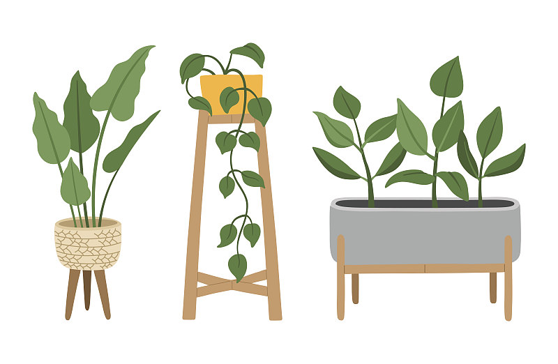 Houseplants in moderb pots
