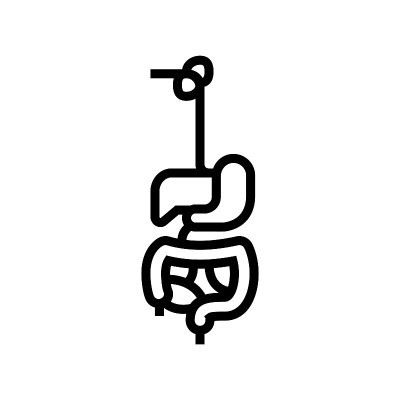 消化系统线图标矢量插图