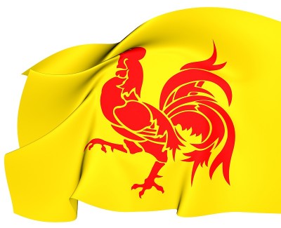 瓦隆尼亚旗