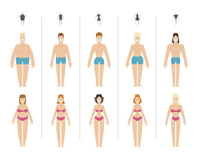 女性身体类型矢量插图。