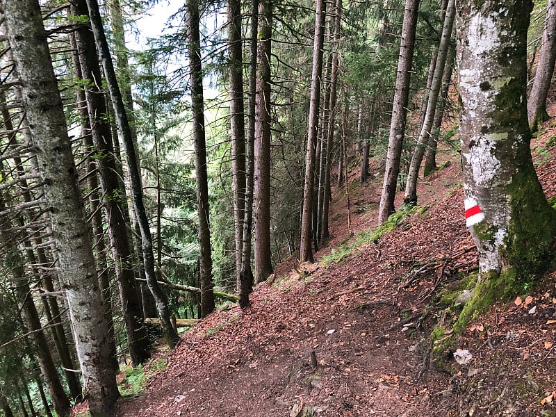 在欧伯seetal高山山谷徒步旅行和步行小径，纳弗尔斯(Näfels或纳弗尔斯)-格拉鲁斯州，瑞士