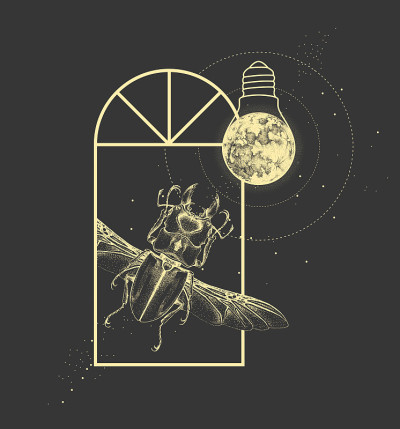 神奇的魔法窗户剪影甲虫和满月像灯泡。矢量图