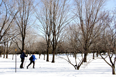 越野滑雪者
