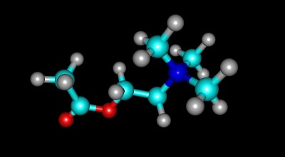 乙酰胆碱分子结构分离上黑色